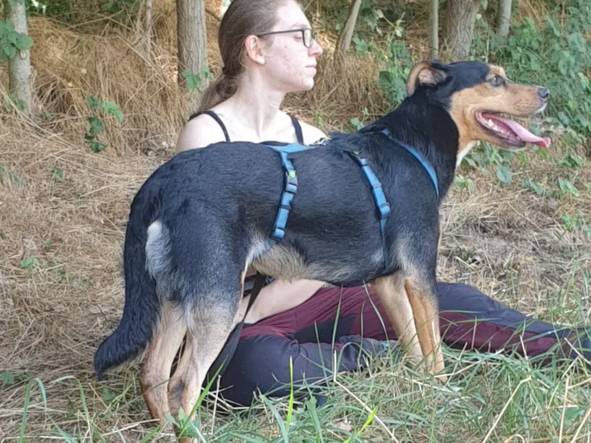 Adotta un cane, femmina, 2 anni e 8 mesi, Torino
