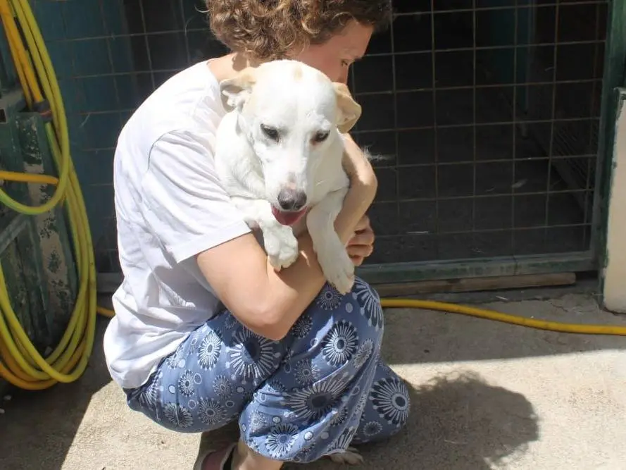 Adotta il cane Gary a Agrigento