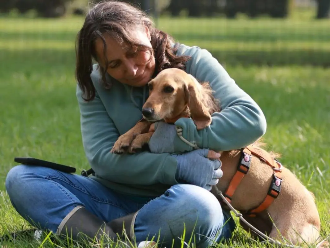 Vuoi adottare un cane a Milano?