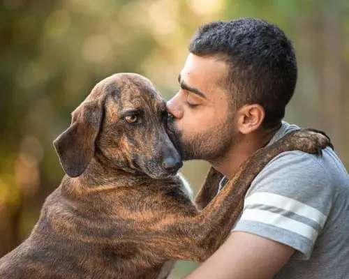 Adotta il cane Paolina a Latina