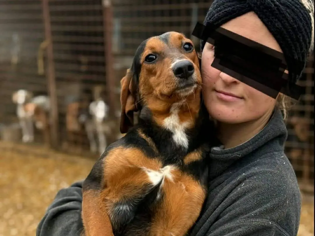 Adotta il cane ERA a Firenze