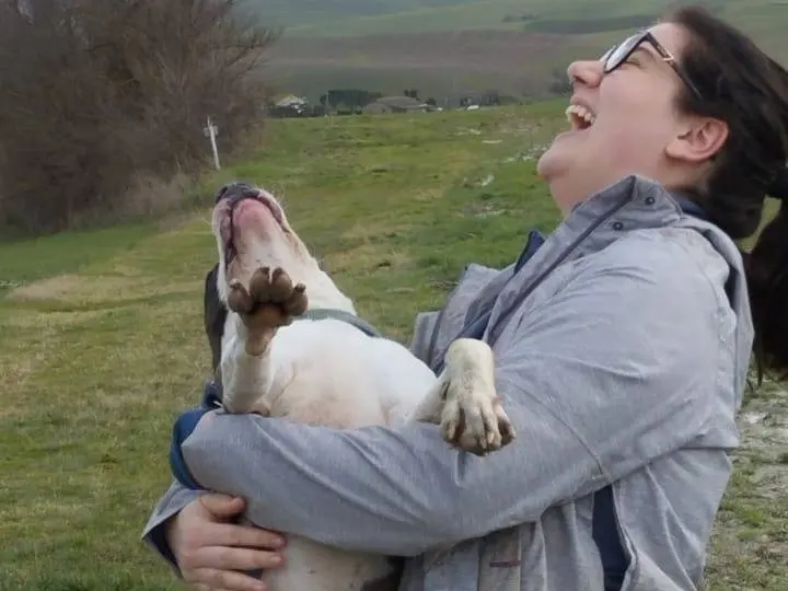 Adotta un cane, maschio, 7 anni e 8 mesi, Pisa
