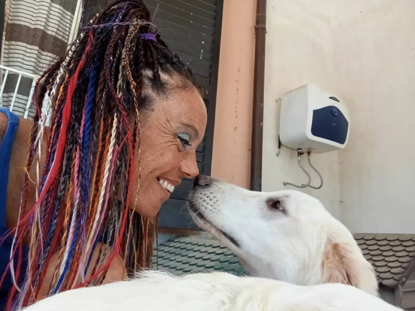 Adotta il cane Giulia a Latina