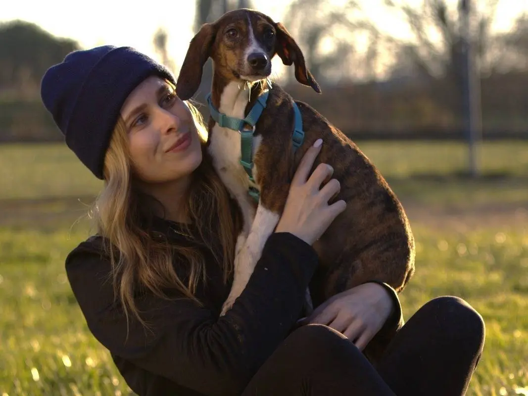 Adotta un cane, femmina, 1 anno e 4 mesi, Milano