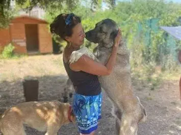 Vuoi adottare un cane a Frosinone?