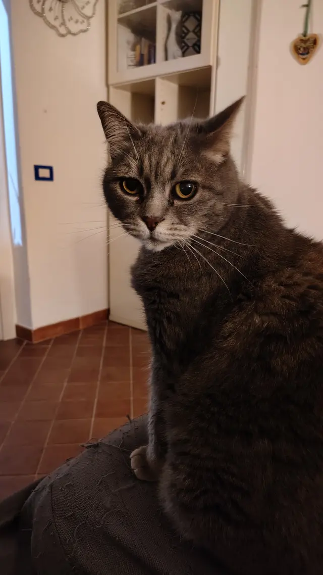 John Doe