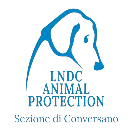 John Doe
